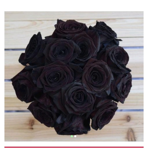 Meet your Posher, Nicheia - Picture 1 of 1